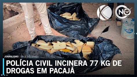 Polícia Civil incinera mais de 70 kg de drogas em Pacajá PA SBT