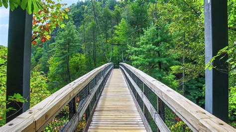 Tallulah Gorge Suspension Bridge Photograph by Ed Williams - Fine Art America