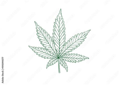 marijuana leaf vector illustration Stock Vector | Adobe Stock