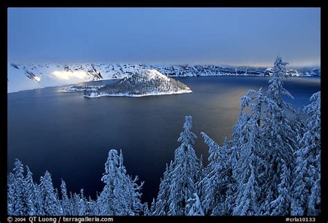 Picture Photo Trees Lake And Wizard Island Winter Sunrise Crater