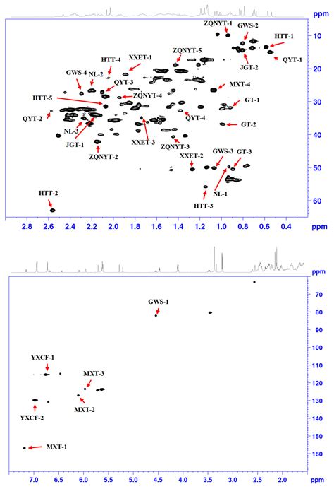 The Development Of A High Throughput Homonuclear Decoupling Hsqc Nmr