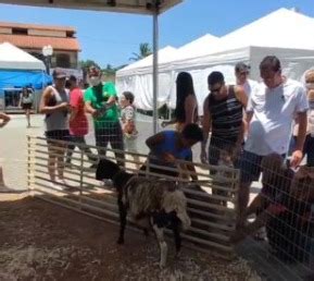 Iguaba Grande Realiza Edi O Especial Da Feirinha Criatividades Da Terra