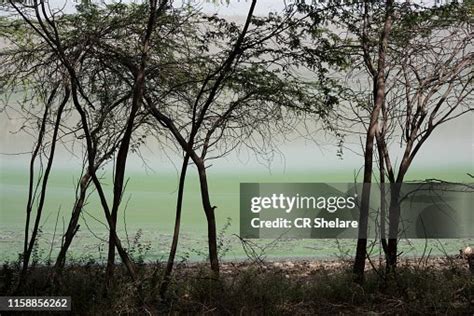 Lonar Lake Or Lonar Crater Maharashtra India High-Res Stock Photo ...