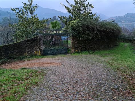 Quinta Agrícola T3 Duplex Venda 265 000 em Ribeira de Pena Cerva e