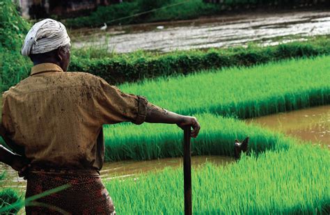 Financing Agricultural Resilience The Bond Way Wri India