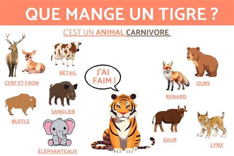 Pièges Sans défaut Oblong poids tigre blanc Plus précisément travail Auteur