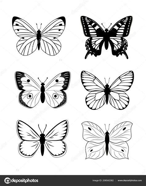 Simple Butterfly Outline Vector - Coloring page butterfly quilts butte.