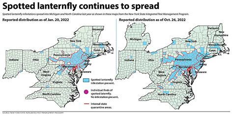 Spotted Lanternfly Map 2024 - Anthe Jennilee