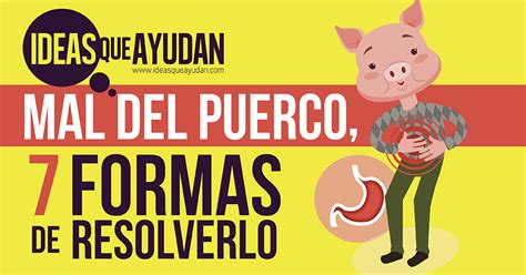 Mal Del Puerco 7 Formas De Resolverlo Ideas Que Ayudan