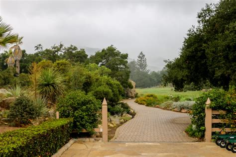 Santa Barbara Botanic Garden Is Nothing Short Of A National Park