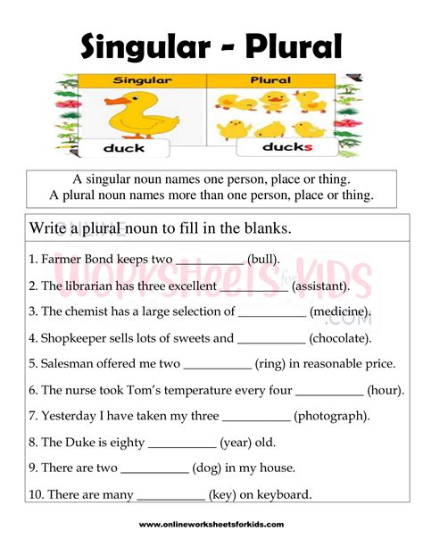 singular  plural nouns worksheets  kids worksheets library