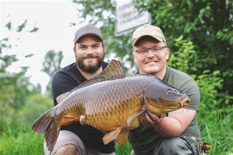 Karpfen im Fluss finden So fängst Du Wanderer BLINKER