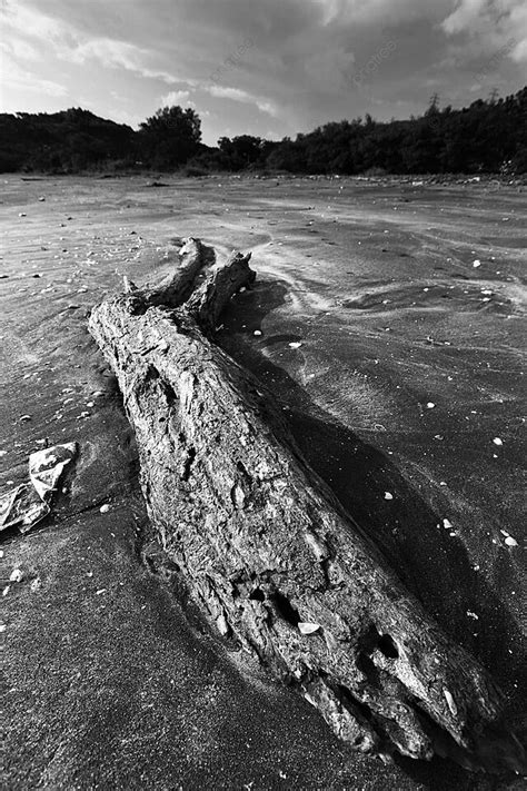 Gambar Background Pantai Kayu Kecil Vektor Dan File Psd Untuk Unduh Gratis Pngtree