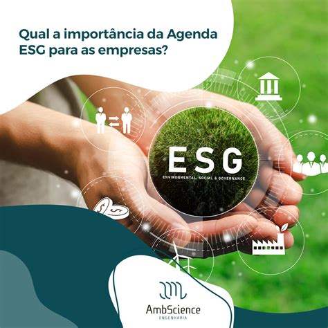 Qual A Import Ncia Da Agenda Esg Para As Empresas Ambscience