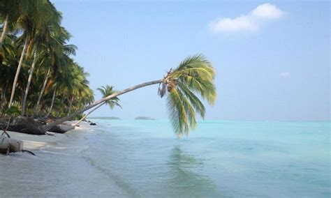 Top 10 Resorts In Lakshadweep You Must Visit - Tourld