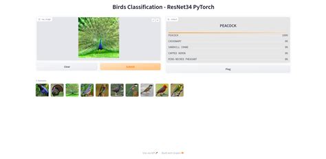 Gauthamk Pytorch Resnet34 Bird Classification At Main