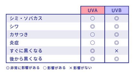 紫外線基礎知識 紫外線のこと、本当に知っていますか？ 環境ストレスから肌を守る アウタースキンラボ