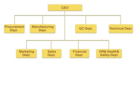 Company Structure