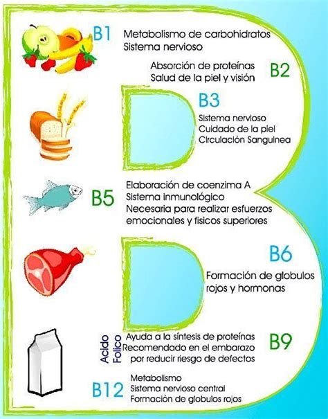 Estas Son Algunas De Las Principales Funciones Y Propiedades De Las