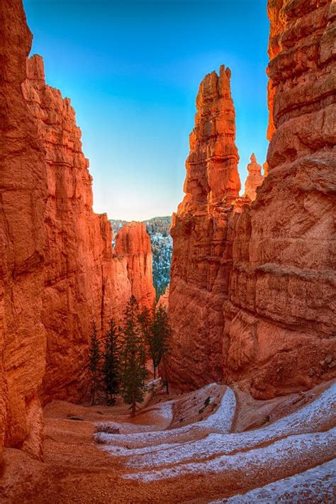 Sunrise In The Hoodoos Bryce Canyon National Parks Places To Visit Places In California