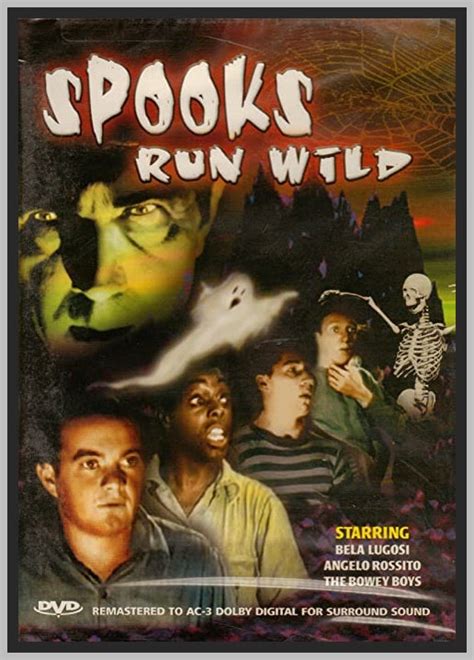 Spooks Run Wild 41 Bela Lugosi Colorized Rare Dvd Tv Museum Dvds