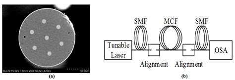 A Sectional View Of Fabricated MCF B Experimental Setup For