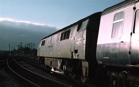 Class 52 British Rail Diesel Locomotive Train