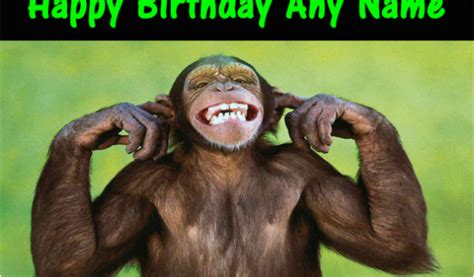 Funny Monkey Birthday Cards Cheeky Funny Monkey Birthday Card