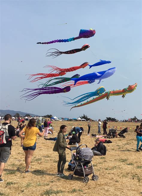 Kite festival keeps them coming back – Teen Observer