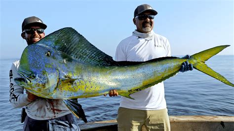 Record Mahi Mahi