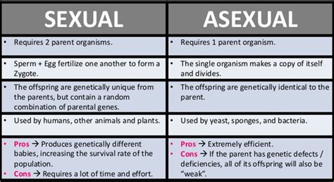 Asexual Reproduction In Plants Ks2 Worksheets