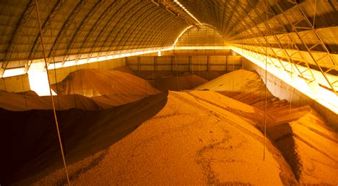 May Figures Reinforce Record Harvest Estimate For News Agency