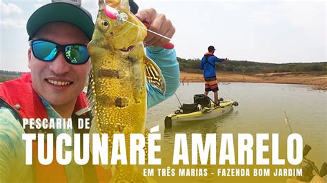 Pescaria de Tucunaré Amarelo em Três Marias YouTube