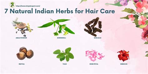 7 Natural Indian Herbs for Hair Care - Kirpal Export Overseas