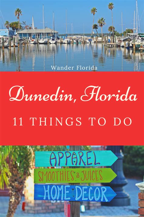 Amazing Things To Do In Dunedin Florida Artofit