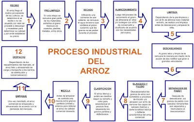 AGROINDUSTRIA ARROCERA PROCESO INDUSTRIAL DEL ARROZ