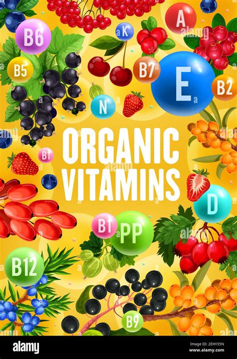 Berries With Natural Organic Vitamins And Minerals Complex Vector