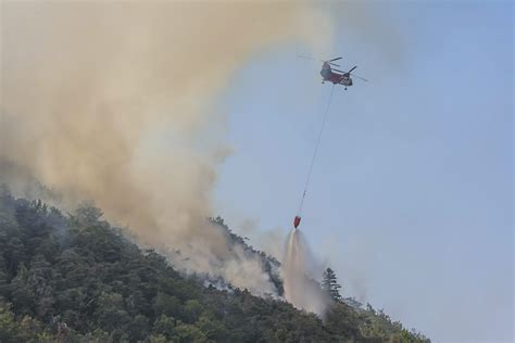 Incendie à Chanousse le feu de forêt est fixé après avoir parcouru