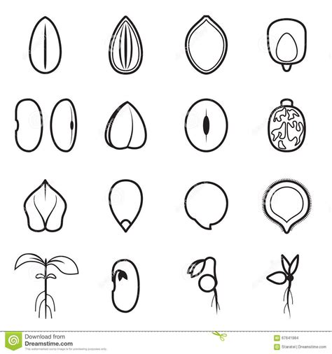 Seed Icon Set Which Represents The Most Common Types Of Crop Seeds