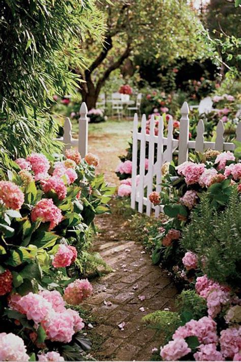 16 ideas de jardines de hortensias de ensueño