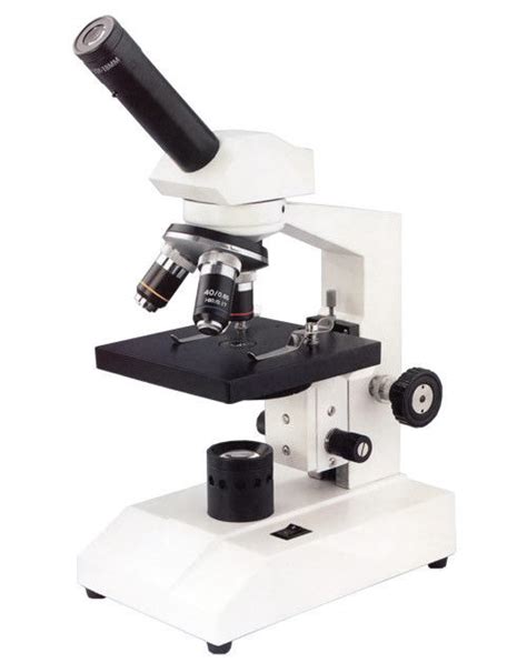 Compound Light Microscope Diagram Quizlet