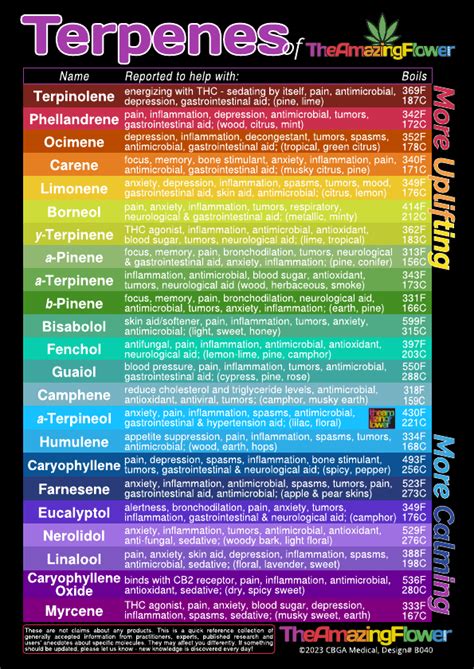 Terpene Dictionary – TheAmazingFlower.com, CBGA Medical LLC