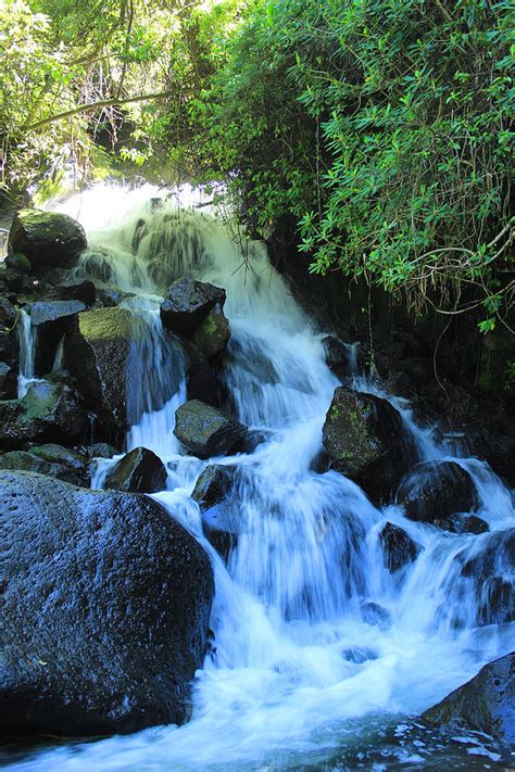 Small Waterfall and Rocks Photograph by Robert Hamm - Fine Art America