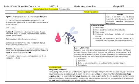 Hne Y Np Zika Historia Natural De La Enfermedad Y Niveles De