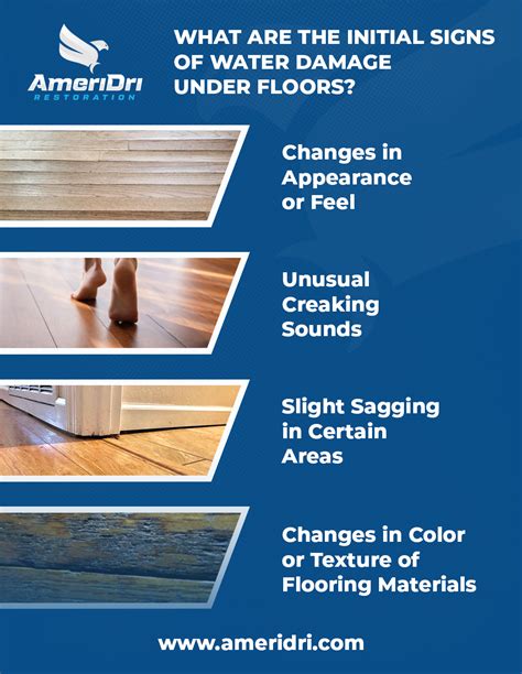 Signs of Water Damage Under Floor - Ameridri | Water & Mold Damage ...