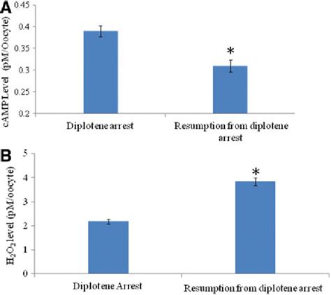 Quantitative Analysis Of Intracellular Cyclic 3¢5¢ Adenosine