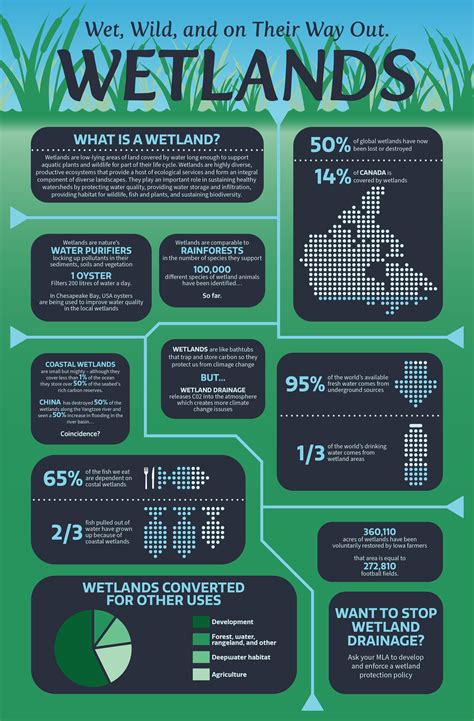 Environmental Benefits Of Constructed Wetlands at Benjamin Downie blog