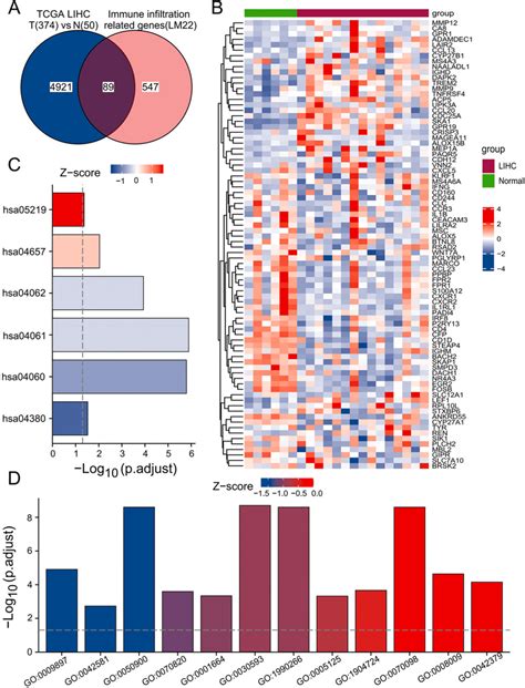 Identification And Functional Enrichment Analysis Of Immune