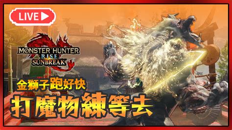 【魔物獵人崛起破曉】打魔物練等跟觀眾組隊打龍刷素材 H61855331的創作 巴哈姆特