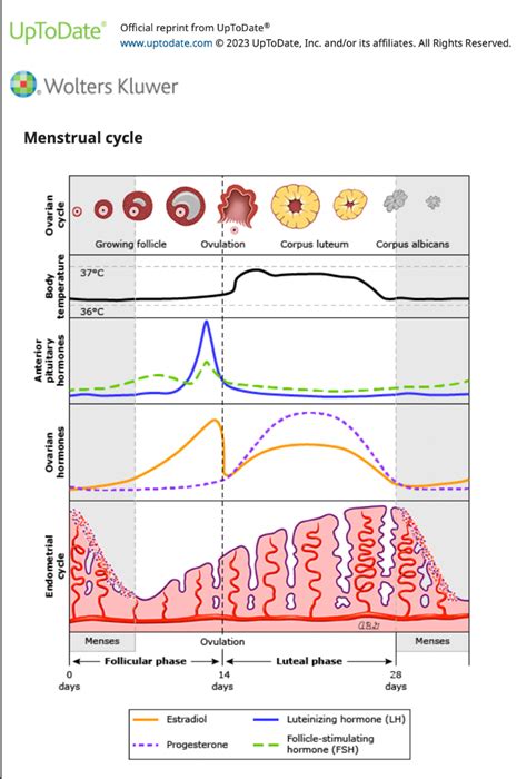 All About Periods Part 1 How To Track Your Period And Why Restored